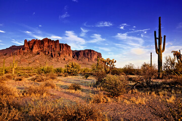 Wall Mural - Arizona desert view with Superstitious mountains and Saguaro cactus at sunset, Phoenix, USA