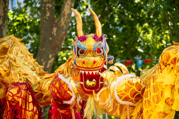 Typical Chinese dragon doll.
Worn by dancers in Chinese New Year celebration