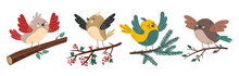 Birds Characters Sitting On Branches Isolated Set. Vector Flat Graphic Design Illustration