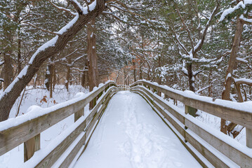 Wall Mural - Hiking trail.