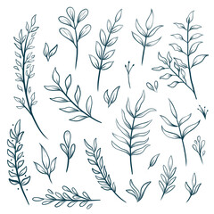 Poster - Hand drawn floral outline leaf decorative elements