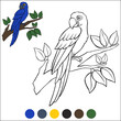 Coloring page birds. Cute parrot blue macaw sits on the branch.