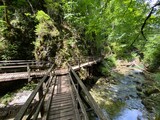 Fototapeta Dziecięca - Wooden hiking trails and bridges along the protected landscape of the Kamacnik canyon - Vrbovsko, Croatia (Drvene pješačke staze i mostići duž zaštićenog krajolika kanjona Kamačnik - Gorski kotar)