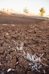 Poster - drought affected ground