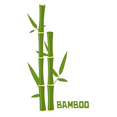  bamboo sticks with leaves