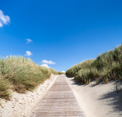 Wall Mural - path to the dune beach