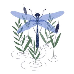 dragonfly over water with reeds, circles on the water, hand-drawn, isolated on a white background.