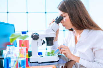 Wall Mural - girl laboratory assistant examines a green plant under a microscope in the laboratory