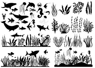 Wall Mural - sea animals, fish, algae set silhouette ,on white background, vector