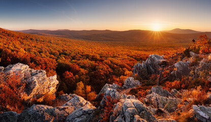 Canvas Print - majestic particolored forest with sunny beams. natural park. dramatic unusual scene. red and yellow 
