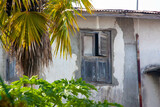 Fototapeta Tulipany - Old window in the frame of palm and papaya tree, Stone Town, Zanzibar, Tanzania