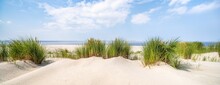 Dune Beach Panorama In Summer