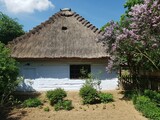 Fototapeta  - Old house and nature