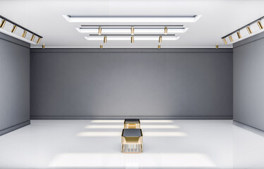 Aufkleber - Front view on stylish benches in empty exhibition hall with glossy white floor, blank grey walls and spotlights on top. 3D rendering, mockup