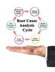 Wall Mural - Cycle of Root Cause Analysis