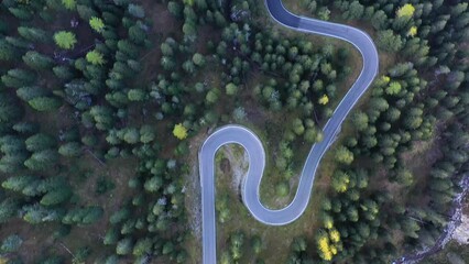 Wall Mural - a road with curves among the woods. aerial view from a drone. the dolomite alps, italy. summer lands