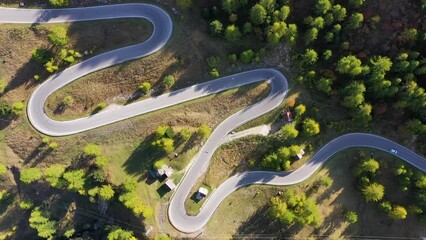 Wall Mural - a road with curves among the woods. aerial view from a drone. the dolomite alps, italy. summer lands
