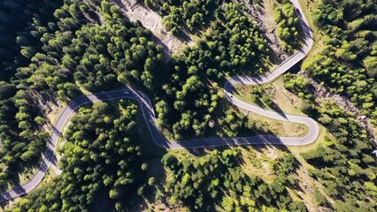 Wall Mural - a road with curves among the woods. aerial view from a drone. the dolomite alps, italy. summer lands