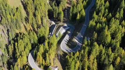 Wall Mural - a road with curves among the woods. aerial view from a drone. the dolomite alps, italy. summer lands