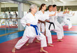 © JackF - Modern determined aged woman practicing martial arts with group of adults in gym. Seniors active lifestyle concept