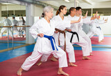 Modern determined aged woman practicing martial arts with group of adults in gym. Seniors active lifestyle concept