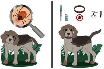 Illustration of a sick dog with a tick and a healthy dog ​​that is protected from ticks. How to protect your pet from ticks. Tick ​​season, dog grooming and vaccinations. Special collar against ticks