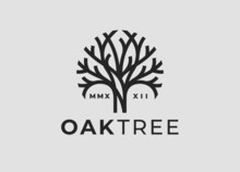 Oak Tree Logo. Nature Brand Identity Line Icon. Modern Natural Oak Wood Symbol. Plant Branch Emblem. Vector Illustration.