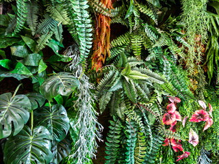 Wall Mural -  Artificial Ferns and Plant Showing