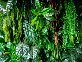 Wall Mural -  Artificial Ferns and Plant Showing