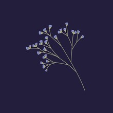 Sea Lavender, Limonium Flowers Twig. Dry Floral Plant Statice. Small Caspia Blooms On Sprig For Decoration. Gentle Pretty Wild Field Flora. Isolated Botanical Flat Vector Illustration