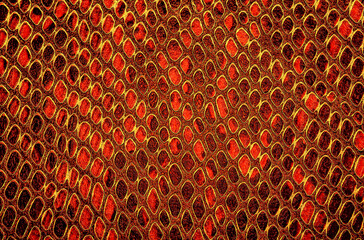 Wall Mural - Snake skin - animal leather texture use for background.