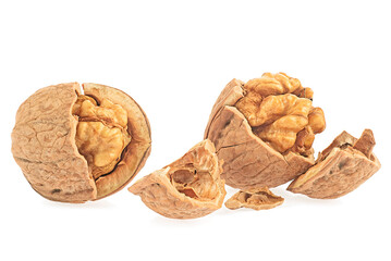 Wall Mural - Whole and cracked walnuts isolated on a white background. Front view of dried walnuts.