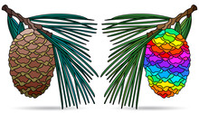 A Set Of Illustrations In The Style Of Stained Glass With Cedar Cones, Isolated On A White Background