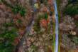 © Westend61 - Drone view of asphalt road stretching along Wangauer Ache river flowing through autumn forest