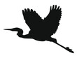 Grafika wektorowa przedstawiająca czaplę w locie utworzona poprzez wyizolowanie z fotografii zarysów ptaka i zastosowanie czarnego wypełnienia.