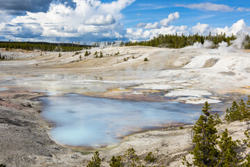 Wall Mural - Geysers at Norris Basin