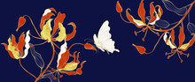 Golden Flame Lily Line Art On Dark Blue Background. Golden Flame Lily Line Art On Dark Blue Background. Luxury Hand Drawn Banner Design With Gold And Red Gloriosa Lily, White Butterfly And Leaves. For