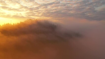 Photo Sur Toile - Vivid thick fog covers the mountains in the rays of morning light. Filmed in 4k, drone video.