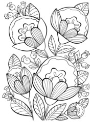 Wall Mural - beautiful bouquet of flowers coloring on a white background isolate contour illustration black and white picture hand drawing doodle sketch vector for kids and adults postcard sketch poster print