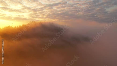 Fototapete - Vivid thick fog covers the mountains in the rays of morning light. Filmed in 4k, drone video.