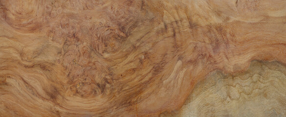 Wall Mural - Natural Afzelia burl wood striped is a wooden beautiful pattern for background
