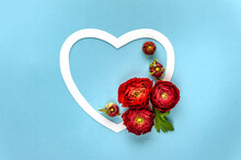 Happy Valentine's Day Or International Women's Day Concept. Red Ranunculus Decorates The White Heart On Blue Background. Soft Focus. Top View. Copy Space For Text.