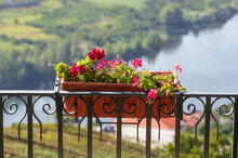 Pot With Geraniums On Douro Valley In Portugal , Europe , Focus In Foreground