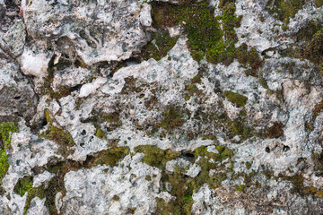 Aufkleber - Background of brown-gray stone wall with leaves and moss . Pattern of slate wall texture and background