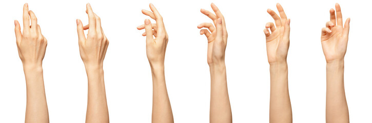 elegant female palm or wrist isolated on white. variation beautiful woman palm with bent fingers. fr