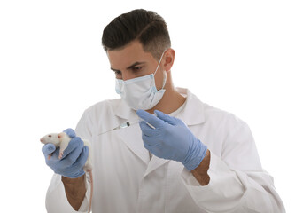 Poster - Scientist with syringe and rat on white background. Animal testing