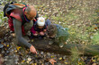 © Trevor Adeline/Caia Image - Father and curious kids on hike in woods