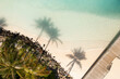 © AmazingAerialAgency - Aerial Top Down View Of Palm Tree Shadows On White Sand Beach In South Male, Maldives.