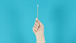 Cotton stick for swab test in hand with white medical gloves or latex glove on blue background.