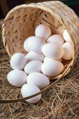 Poster - a lot of fresh chicken eggs in a straw basket on a background of hay. Healthy eating concept